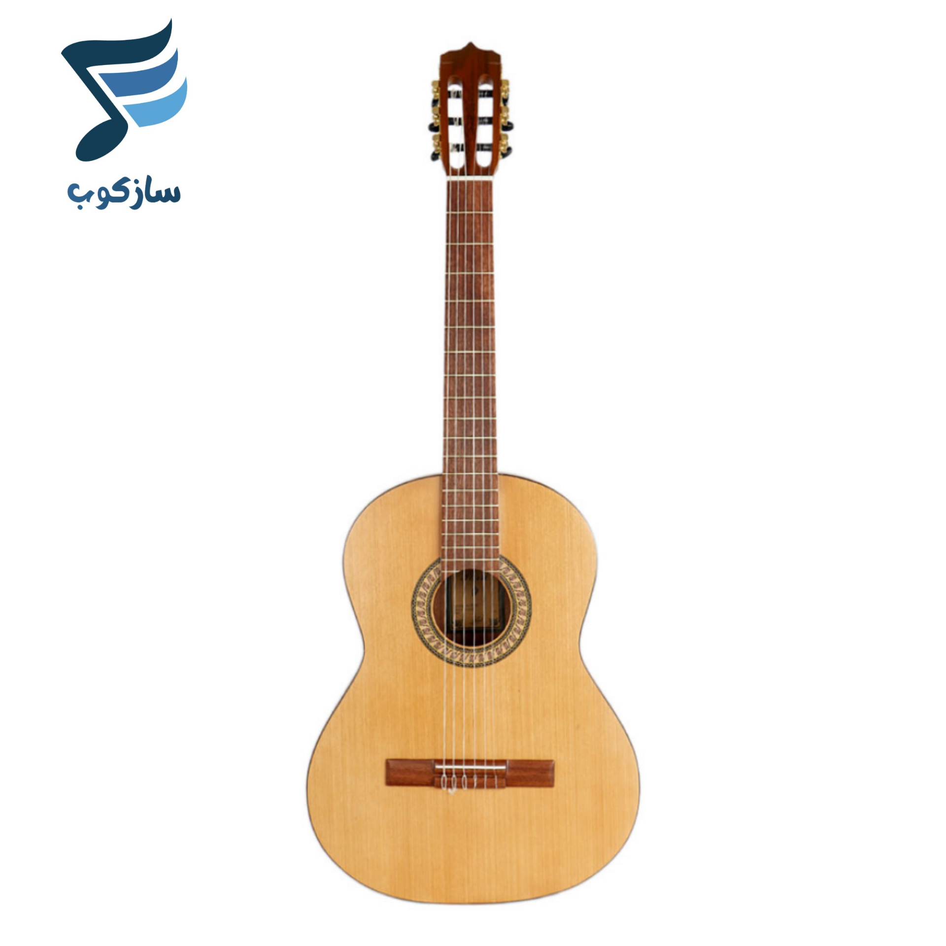 گیتار پارسی P70
