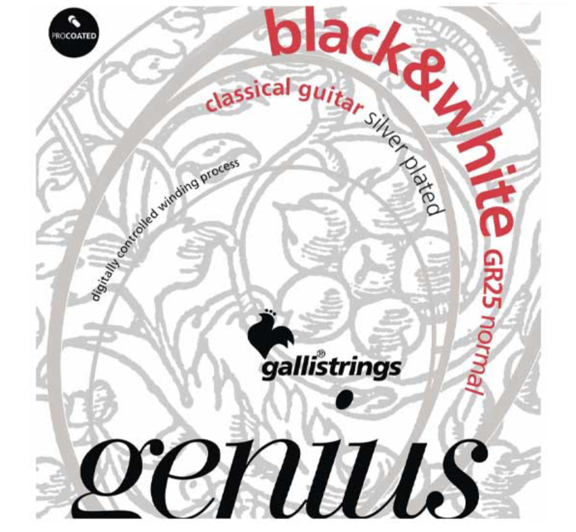 سیم گیتار کلاسیک گالی مدل Black&White GR25